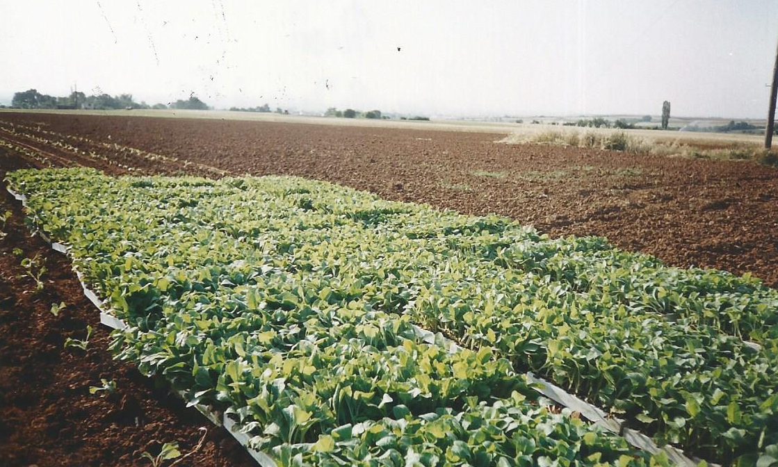 Scan1110005
